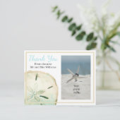 Sand Dollar Vielen Dank Beach Foto Ankündigungspostkarte (Stehend Vorderseite)