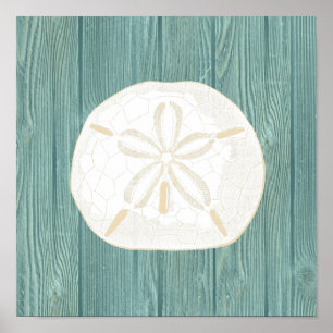 Sand-Dollar Vintage Aqua Holz Strand Poster