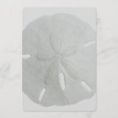Sand Dollar Wedding Fan Program Paper Programm (Vorderseite)