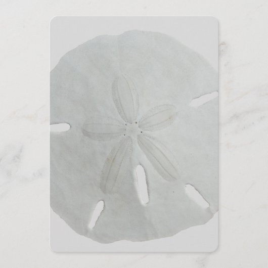 Sand Dollar Wedding Fan Program Paper Programm (Vorderseite)