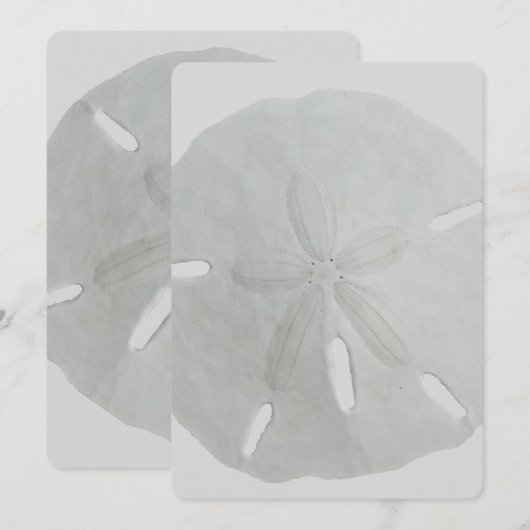 Sand Dollar Wedding Fan Program Paper Programm (Vorne/Hinten)