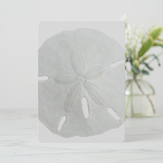 Sand Dollar Wedding Fan Program Paper Programm (Stehend Vorderseite)