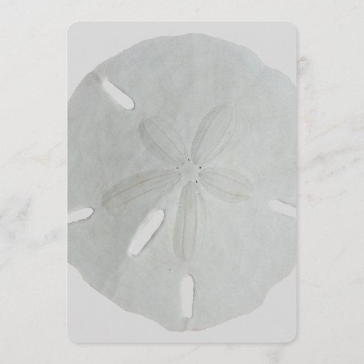 Sand Dollar Wedding Fan Program Paper Programm (Rückseite)