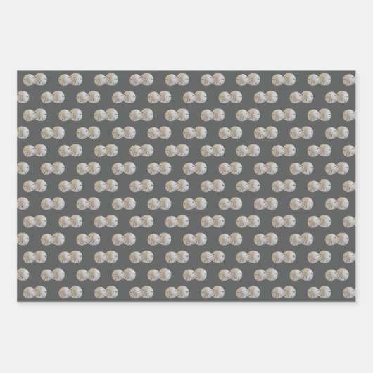 Sand Dollars Grau Gemustert Geschenkpapier Set (Vorderseite)