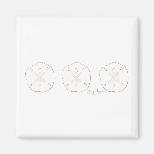 Sand Dollars Magnet (Vorne)