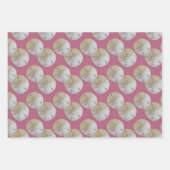 Sand Dollars Mauve Pink Gemustert Geschenkpapier Set (Vorderseite 2)