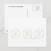 Sand Dollars Postkarte (Vorne/Hinten)