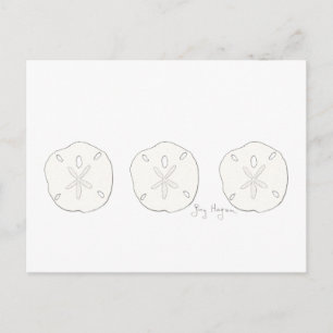 Sand Dollars Postkarte