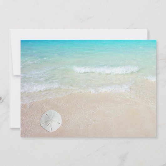 Sand Dollars Weihnachts Party Beach Thema Einladung (Rückseite)