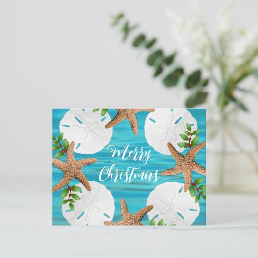 Sand Dollars Weihnachtskarten Postkarte (Stehend Vorderseite)