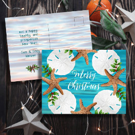 Sand Dollars Weihnachtskarten Postkarte