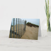 Sand Dune Beach Fence