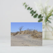 Sand Dune Postcard Postkarte (Stehend Vorderseite)