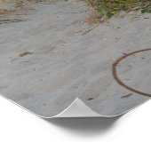 Sand Düne und Life Ring Beach Seascape Florida Poster (Ecke)