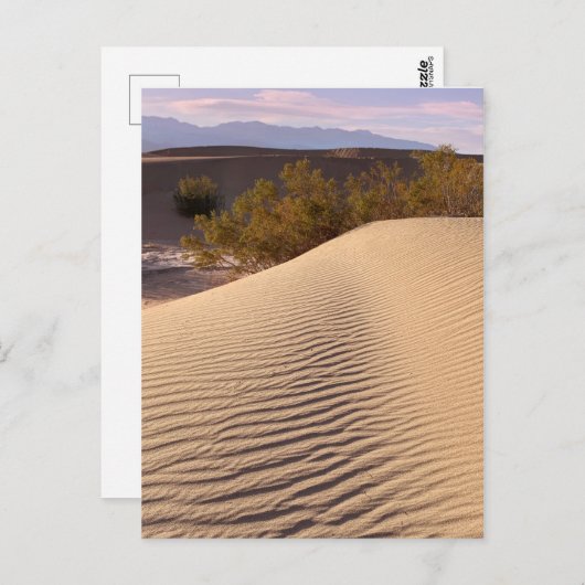 Sand Dunes Death Valley National Park Postkarte (Vorne/Hinten)