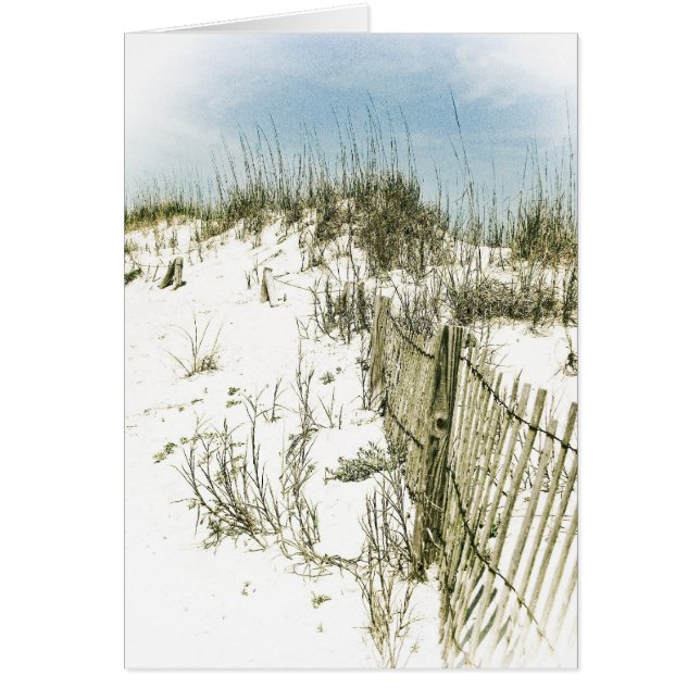 Sand Dunes Fence (Vorne)