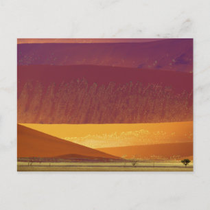 Sand Dunes Namib-Naukluft National Park Namibia Postkarte