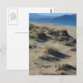 Sand Dunes Postcard Postkarte (Vorne/Hinten)