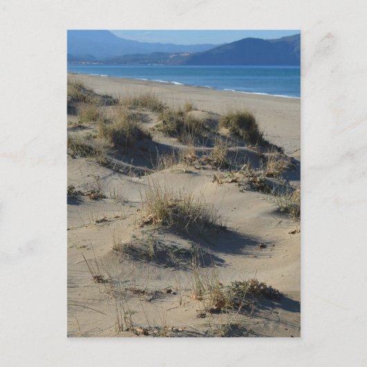 Sand Dunes Postcard Postkarte (Vorderseite)