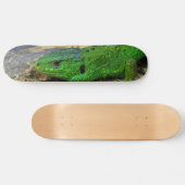 Sand-Eidechsemännlicher Lacerta Agilis Skateboard (Horizontal)