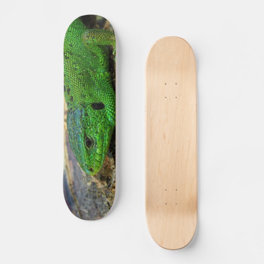 Sand-Eidechsemännlicher Lacerta Agilis Skateboard (Vorderseite)