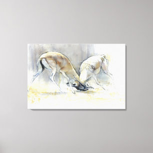 Sand-Gazellen 2009 4 Leinwanddruck