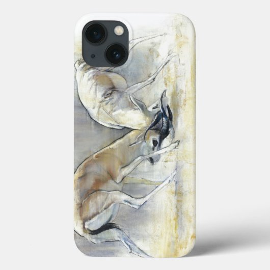 Sand Gazelles 2009 4 Case-Mate iPhone Hülle (Rückseite)