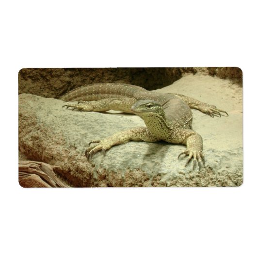 Sand Goanna (Vorne)