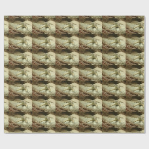 Sand Goanna Geschenkpapier