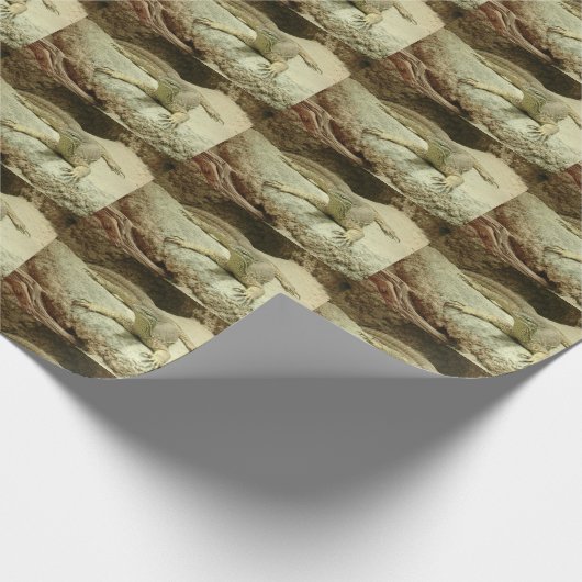 Sand Goanna Geschenkpapier (Ecke)