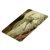 Sand Goanna Magnet (Linke Seite)