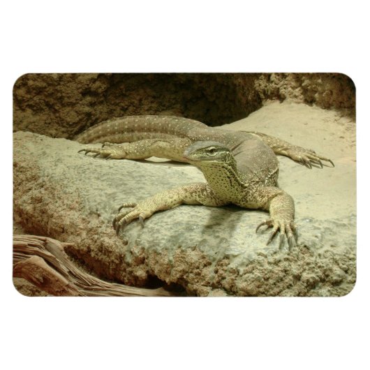 Sand Goanna Magnet (Horizontal)