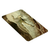 Sand Goanna Magnet (Rechte Seite)