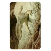 Sand Goanna Magnet (Vertikal)