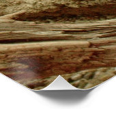 Sand Goanna Poster (Ecke)