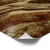 Sand Goanna Poster (Ecke)