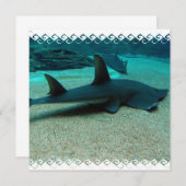 Sand-Haifisch-Einladungen Einladung (Vorne/Hinten)