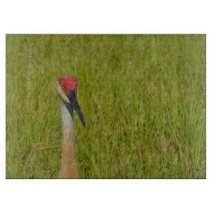 Sand Hill Crane - Kamera Schneidebrett