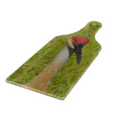 Sand Hill Crane - Kamera Schneidebrett (Ecke)