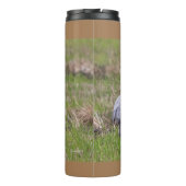 Sand Hill Crane Thermal Tumbler Thermosbecher (Rückseite)