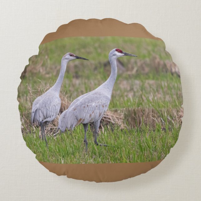 Sand Hill Cranes Pillow Rundes Kissen (Vorderseite)