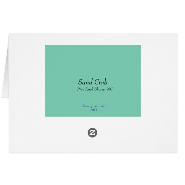 Sand-Krabbe (Rückseite Horizontal)