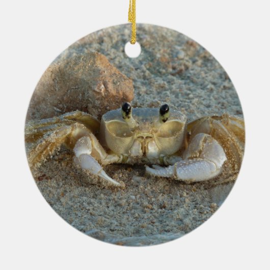 Sand-Krabbe Keramik Ornament (Hinten)