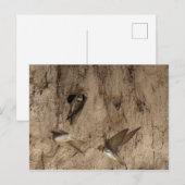 Sand-Martin-Postkarte Postkarte (Vorne/Hinten)