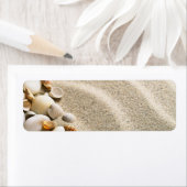 Sand mit Muscheln und Steinen. Zusammensetzung (Insitu)