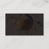 Sand-Pfeifer-Vogel auf Strand Visitenkarte (Rückseite)