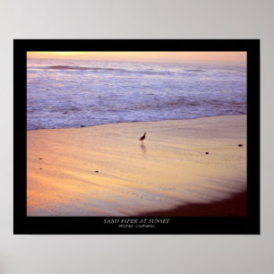 Sand Piper at Sunset : Ventura - Kalifornien Poster