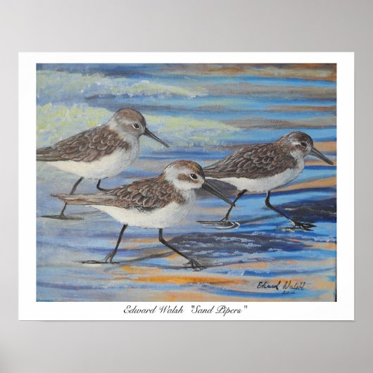 Sand Piper Plakatdruck Poster (Vorne)