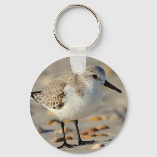 Sand Piper und Seashells Schlüsselanhänger (Vorderseite)