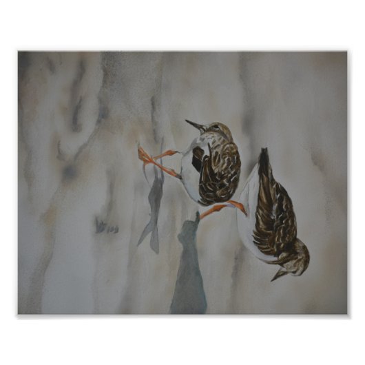 Sand Pipers Bird Art Reproduction Foto Print (Vorne)